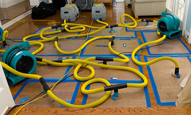 Professional Basement Flood Cleanup technician working in Leesville, SC